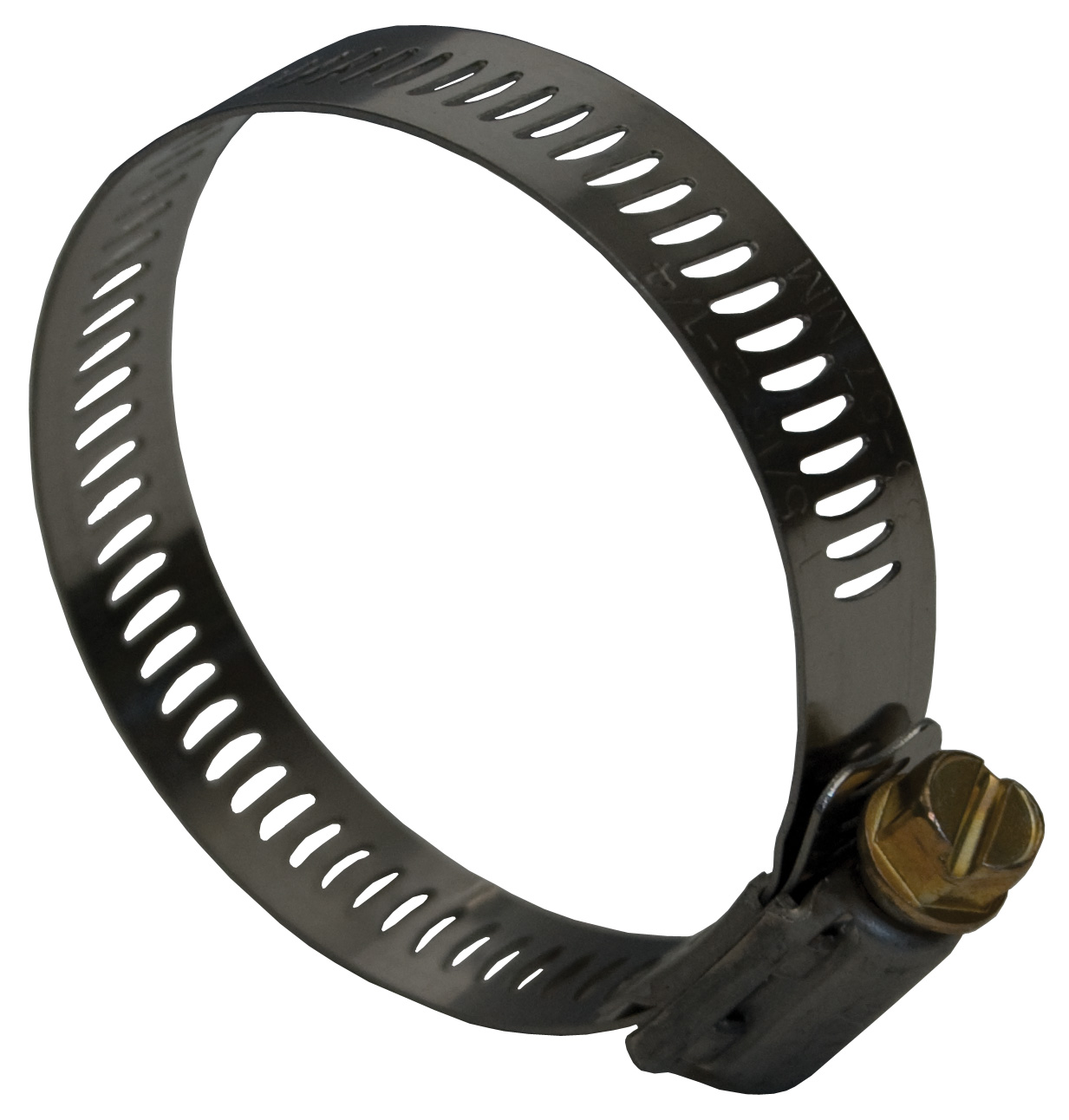 DIXON® WORM GEAR CLAMP